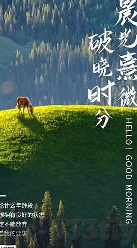 的森林的舞会游戏-森林的舞会游戏，自然与幻想的交响曲