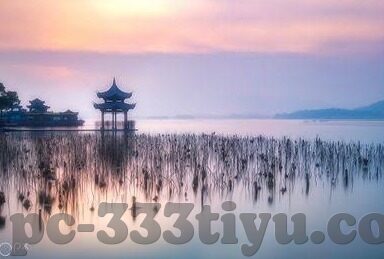 世界杯德国队积分-世界杯德国队积分,历史与现实的交织